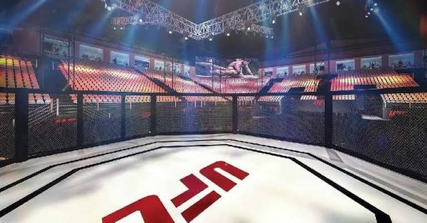 Cockfight Arena